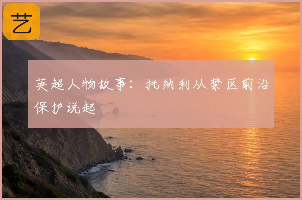 英超人物故事：托纳利从禁区前沿保护说起
